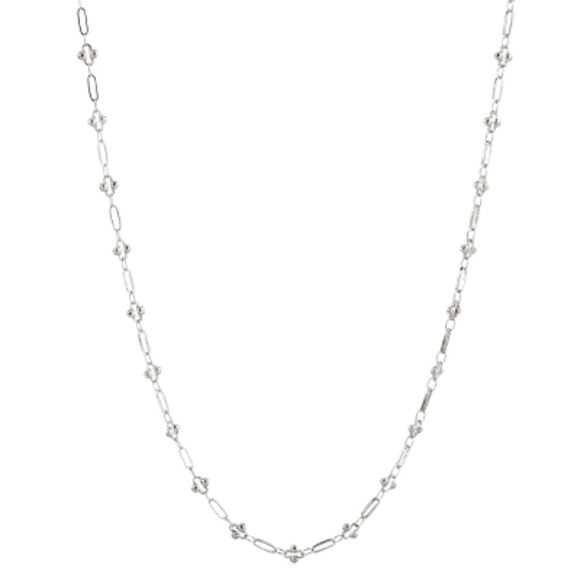 Dot Oval Alternate Chain Necklace - Picture 3 of 3